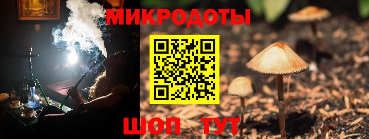 Галлюциногенные грибы ЛСД Можга